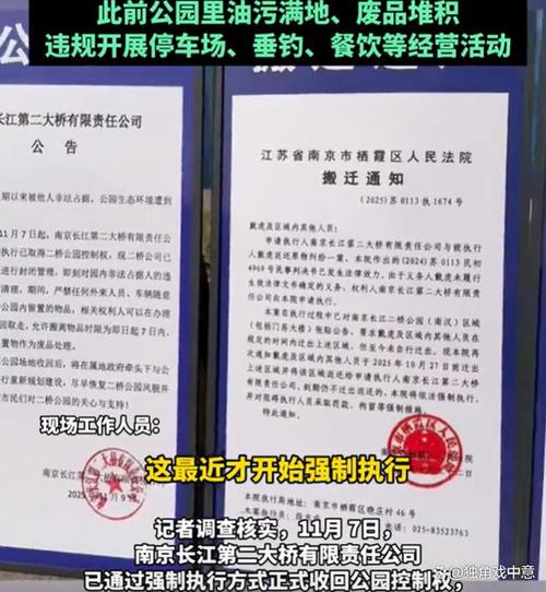南京二桥公园由二桥公司投资建设,2011年闭园后,受委托看管人戴虎在园